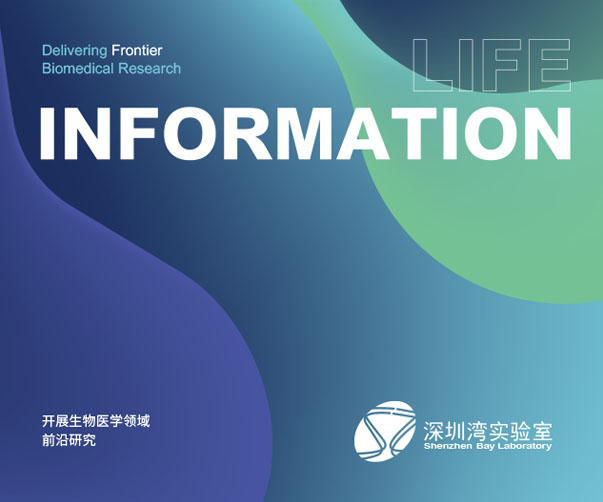 上海logo設計師分享90年代經典標志設計案例與時代美學解析